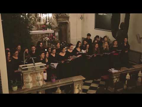 Capella juris: Gaudete