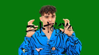 Tokyo Trizzy(トーキョー・トリジー) : 外国人から見た、日本人アーティストと海外アーティストの違い