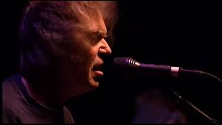 Neil Young - Fool For Your Love