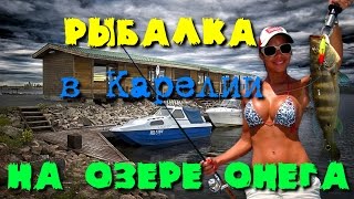 Ссылка