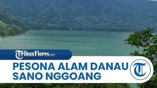 Pesona Danau Sano Nggoang di NTT, Suguhkan Keindahan Danau yang Dikelilingi Aneka Flora & Fauna