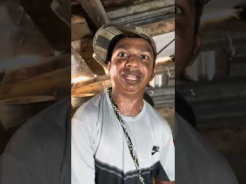 Pichy gave me the smallest fish to the dogor