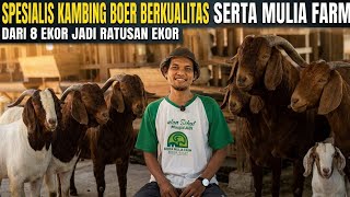 Download lagu Modal 8 Ekor Jadi Ratusan! Rahasia Guru Sukses Ternak Kambing Boer mp3 Download lagu Modal 8 Ekor Jadi Ratusan! Rahasia Guru Sukses Ternak Kambing Boer mp3