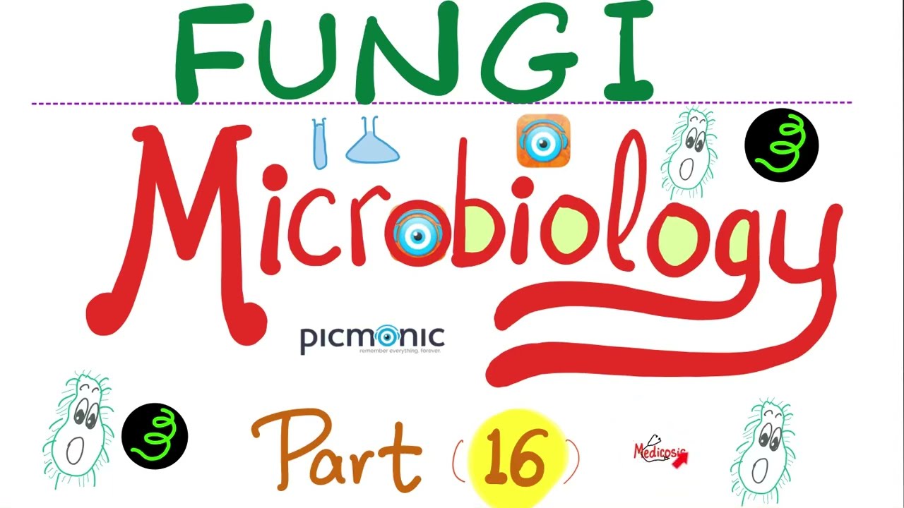 Fungi Microbiology - Histoplasmosis, Blastomycosis, Coccidioidomycosis, Paracoccidioidomicosis (#16)