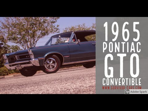 1965 Pontiac GTO (CC-1337224) for sale in Palmetto, Florida