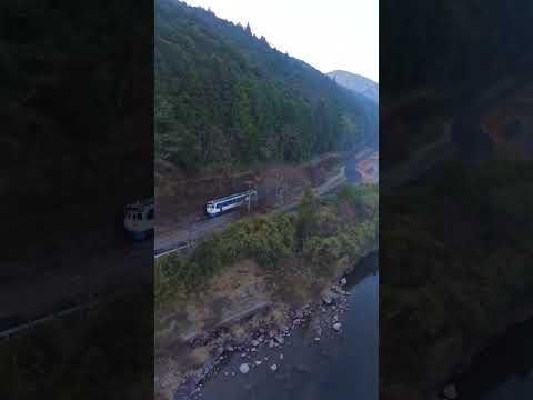 『 朝靄の中を走る新幹線0系、四万十川沿いの風景 』
