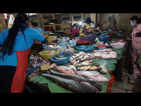 Morning Daily LifeStyle of Vendors Selling Food @Depo Market - Walk Around Phsa Depo in Morning