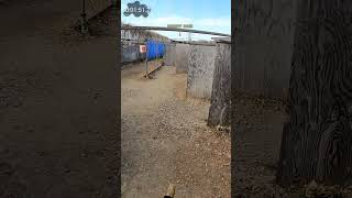 眉間に命中した一撃 Headshot! #airsoftgun #airsoft #ショート動画
