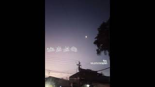 Download lagu Muhammad Thaha al-Junaidi (QS. al-Qalam: 3-5) mp3 Download lagu Muhammad Thaha al-Junaidi (QS. al-Qalam: 3-5) mp3