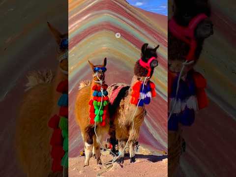 LUGARES MAGICOS EN CUSCO 🌄✨