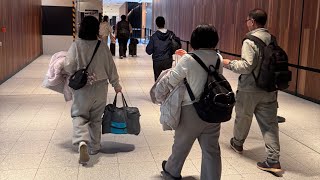 만남이 있으면 이별도 있는법 ( 멜버른 여행 마지막날, 브이로그)