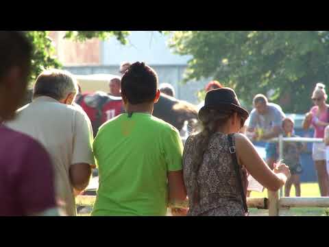 "Atil Trlić" najbolji među trogodcima