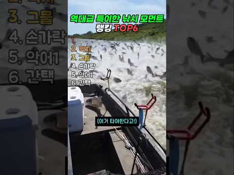 역대급 특이한 낚시 모먼트