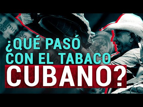 El TABACO cubano ¿es el MEJOR del mundo?