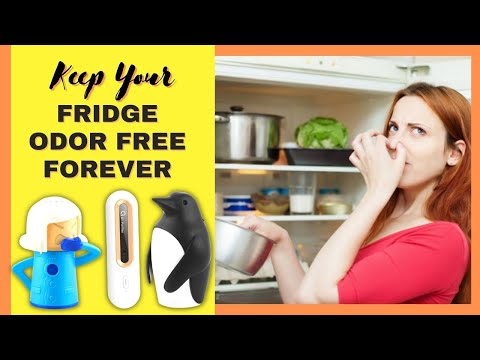 Fridge Ninja Fridge Deodorizer (4 Pack) - More Effective Than Baking Soda - Natural and Unscented Activated Charcoal Refrigerator Deodorizer and Odor Eliminator for Freezers, Coolers, and Lunch Boxes video review thumbnail