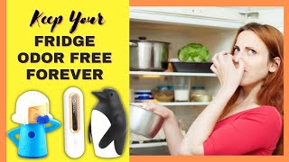 Best Refrigerator Odor Eliminator - Keep Your Fridge Odor Free Forever