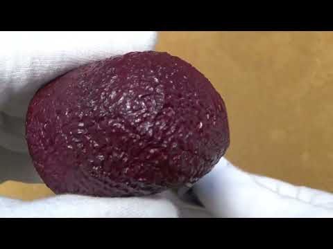 Pipa Dunhill Ruby Bark gruppo 5 - 5115 (2022) - DHRB34