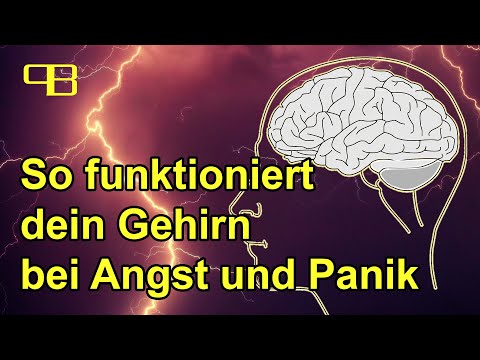 Was in deinem Gehirn passiert wenn du Angst oder Panikattacken hast