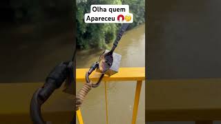 OLHA quem Apareceu 🧲🤔 #aventura