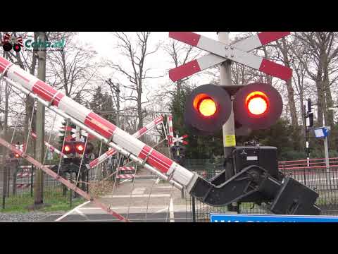 Spoorwegovergang station Ermelo 😍4K😍 //Dutch railroad crossing
