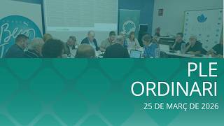 Ple ordinari 25/03/2026
