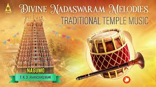 Download lagu Latest Mangala Vadhyam | Nadaswaram Music |Classical Instrumental | Mangala Vadyam Instrumental Song mp3
