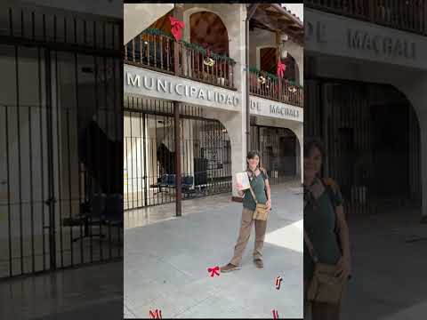 Operación Libros Extraviados por Navidad - OHiggins - 6 /12 / 25 - Imbuk Ediciones