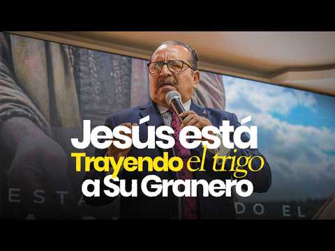 JESÚS ESTA TRAYENDO EL TRIGO A SU GRANERO