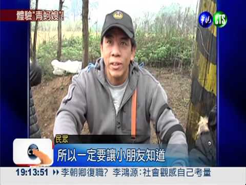 古寧頭大賽! 千人剝蚵享受海味