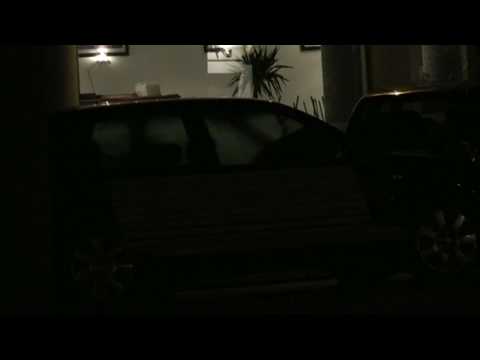 bosjen op het vredeplein.mp4