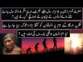 Facts About Theory Of Evolution Explained Urdu Hindi