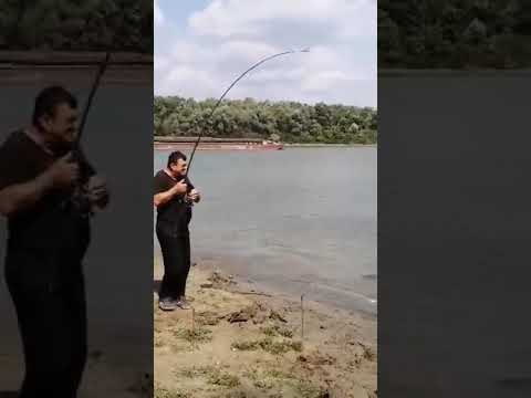 Giurgeni/Dunare/Fishing/Big Fish