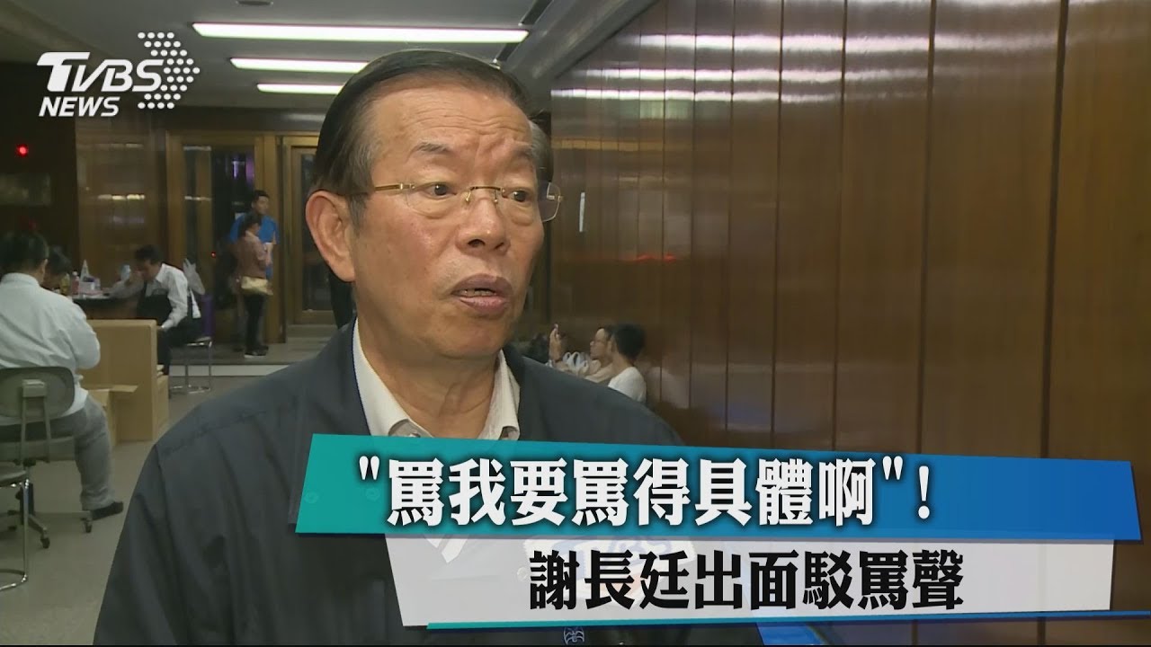 「罵我要罵得具體啊!」 謝長廷出面駁罵聲