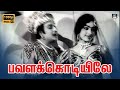 Pavalakodiyile Video Song HD பவளக்கொடியிலே Song Panam Padaithavan M G R K 