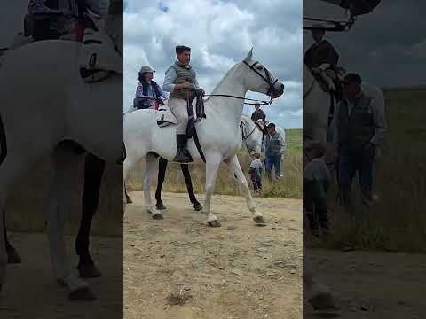 🌾 ¡El Camino de San Isidro en Fuente de Cantos! 🌿🚶‍♀️🐴