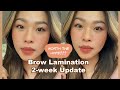 Eyebrow Lamination After A Week