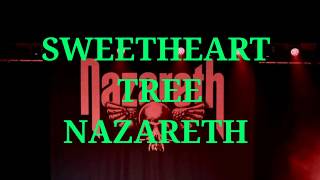 SWEETHEART TREE - QUERIDO ÁRBOL  NAZARETH