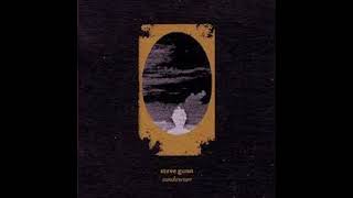 Steve Gunn - For The Horse, Etc