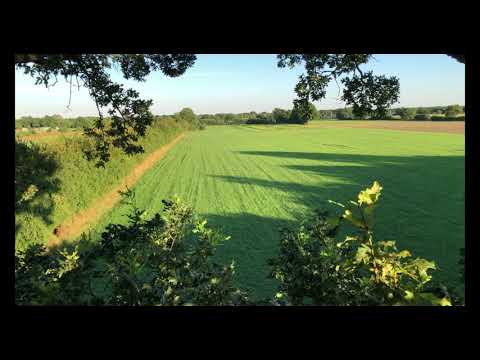 Jagd Vlog 1 | Warme Sommeransitze