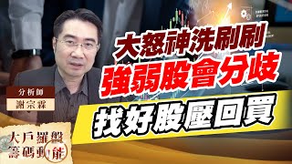大怒神洗刷刷 強弱股會分歧 找好股壓回買 (圖)