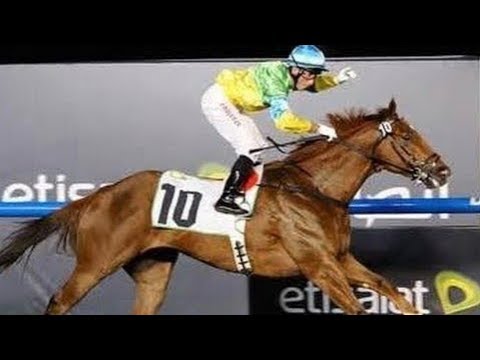 2011 Al Shindagha Sprint G3 - Dynamic Blitz (電光能源) - O.Doleuze