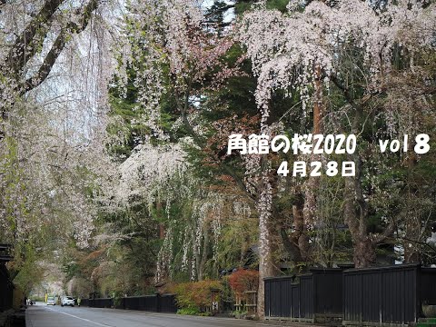 モデルコース 田沢湖角館観光協会 Tazawako Kakunodate Tourism Assosiation モデルコース 田沢湖角館観光協会 Tazawako Kakunodate Tourism Assosiation