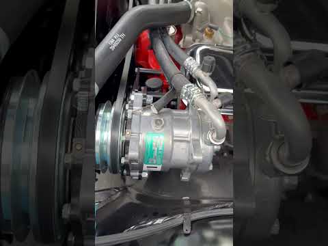 1969 Chevrolet Nova SS (CC-1961674) for sale in Newton, Massachusetts