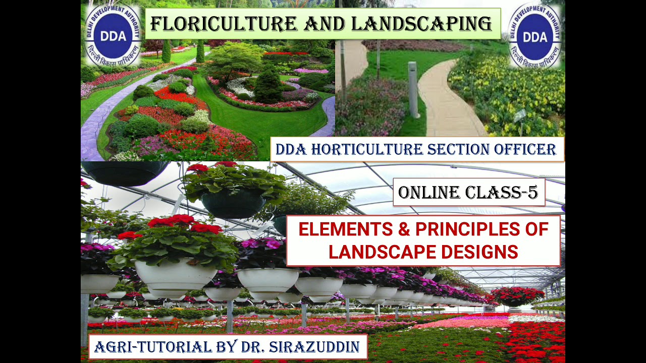 Elements and Principles of Landscape Designs