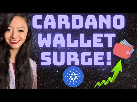 Cardano SURGE in New Wallets! Latest Stats