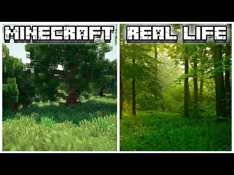 Real-Life Scary Minecraft Biomes!
