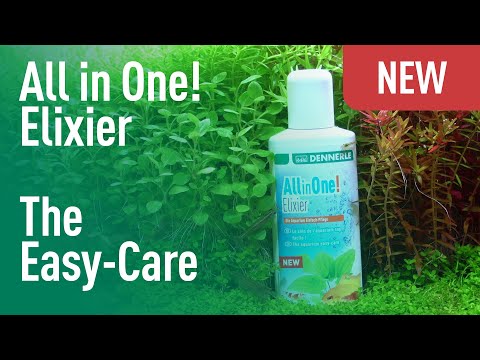 Watch Video on YouTube