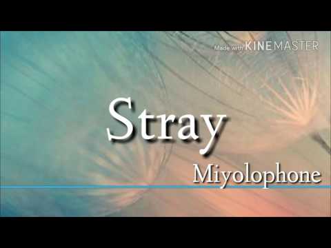 Stray-Miyolophone