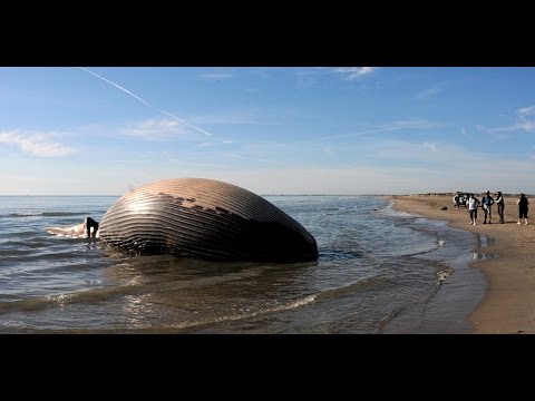 pourquoi la mer morte s'appelle la mer morte