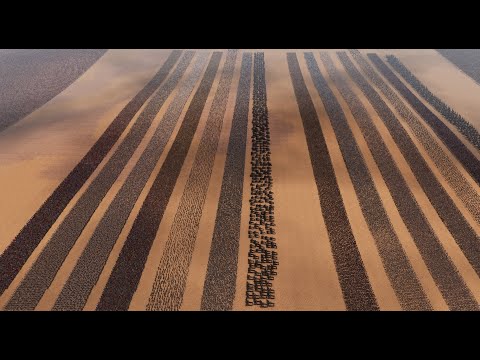 FOURTEEN LINES EVERY ANCIENT UNIT vs 1 MILLION ROMAN GENERALS | Ultimate Epic Battle Simulator 2